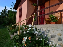 Cabanele Valea Ponicovei - alloggio in  Gola del Danubio, Clisura Dunarii (07)