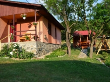 Cabanele Valea Ponicovei - alloggio in  Gola del Danubio, Clisura Dunarii (19)