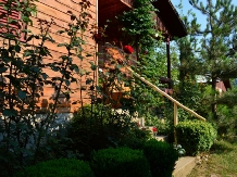 Cabanele Valea Ponicovei - alloggio in  Gola del Danubio, Clisura Dunarii (21)