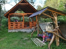 Pensiunea Mario - accommodation in  Apuseni Mountains, Motilor Country, Arieseni (11)