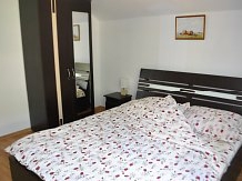 Pensiunea Mario - accommodation in  Apuseni Mountains, Motilor Country, Arieseni (17)