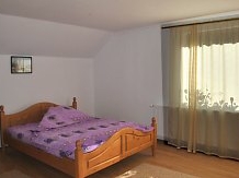 Pensiunea Mario - accommodation in  Apuseni Mountains, Motilor Country, Arieseni (18)