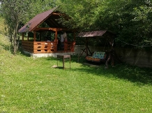 Pensiunea Mario - accommodation in  Apuseni Mountains, Motilor Country, Arieseni (30)
