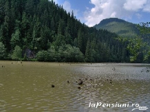 Popasul Vanatorului - cazare Ceahlau Bicaz (46)