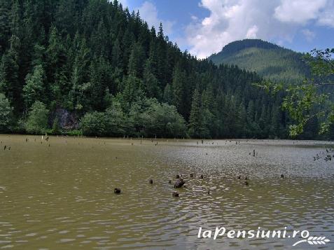 Popasul Vanatorului - accommodation in  Ceahlau Bicaz (Surrounding)