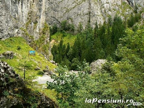 Complex Turistic Constanta - cazare Ceahlau Bicaz, Durau (Activitati si imprejurimi)