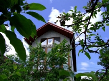 Casa Mirela - alloggio in  Apuseni (06)