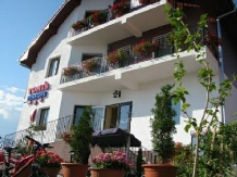 Pensiunea TOMIS - accommodation in  Baile Felix (01)