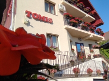 Pensiunea TOMIS - accommodation in  Baile Felix (31)