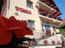 Pensiunea TOMIS - alloggio in  Baile Felix (31)