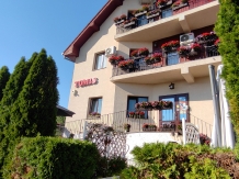 Pensiunea TOMIS - accommodation in  Baile Felix (35)