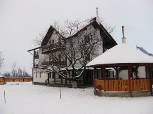 Pensiunea Montana - accommodation in  Fagaras and nearby, Sambata (01)