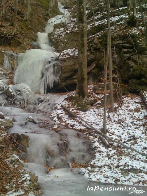 Pensiunea El Plazza - alloggio in  Valea Cernei, Herculane (Attivit&agrave; e i dintorni)