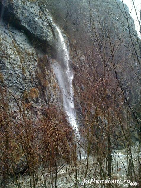 Pensiunea El Plazza - cazare Valea Cernei, Herculane (Activitati si imprejurimi)