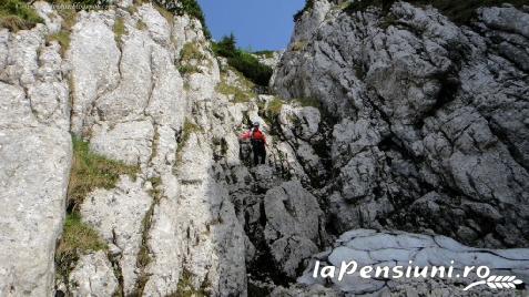 Milexim - cazare Transilvania (Activitati si imprejurimi) Milexim - cazare Transilvania (Activitati si imprejurimi)