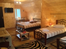 Pensiunea Carmen - accommodation in  Apuseni Mountains (20)