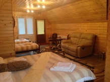 Pensiunea Carmen - accommodation in  Apuseni Mountains (21)