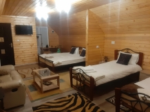 Pensiunea Carmen - accommodation in  Apuseni Mountains (23)