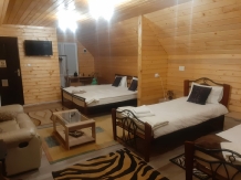Pensiunea Carmen - accommodation in  Apuseni Mountains (24)