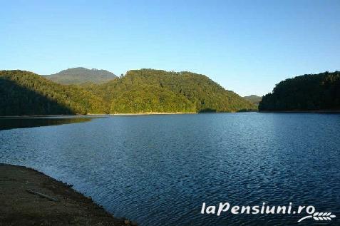 Pensiunea Festival - cazare Tara Maramuresului (Activitati si imprejurimi)