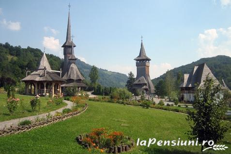 Pensiunea Festival - cazare Tara Maramuresului (Activitati si imprejurimi)