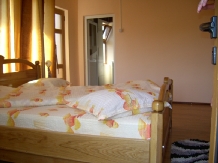 Pensiunea Remus - accommodation in  North Oltenia, Transalpina (06)