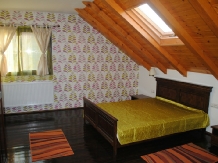 Pensiunea Lavinia - accommodation in  Baile Felix (27)