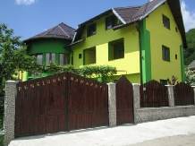 Pensiunea Lavinia - accommodation in  Muntenia (01)