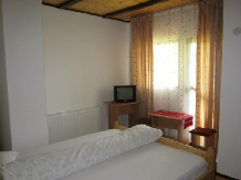 Pensiunea Lavinia - accommodation in  Muntenia (03)