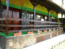 Pensiunea Lavinia - accommodation in  Muntenia (10)