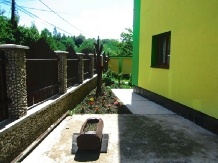 Pensiunea Lavinia - accommodation in  Muntenia (23)