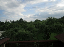 Pensiunea Lavinia - accommodation in  Muntenia (24)