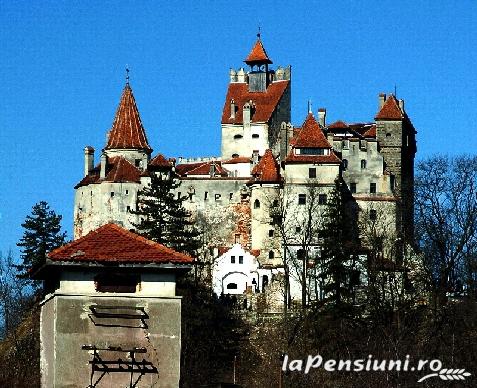 Pensiunea Waldburg - cazare Rucar - Bran, Rasnov (Activitati si imprejurimi)