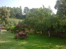 La Haiduc - accommodation in  North Oltenia (04)