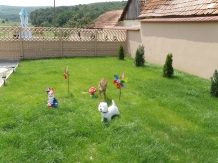 Pensiunea Anca - accommodation in  Baile Felix (05)