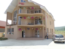 Pensiunea Anca - accommodation in  Baile Felix (06)