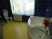 Vila Pimen - accommodation in  Prahova Valley (28)
