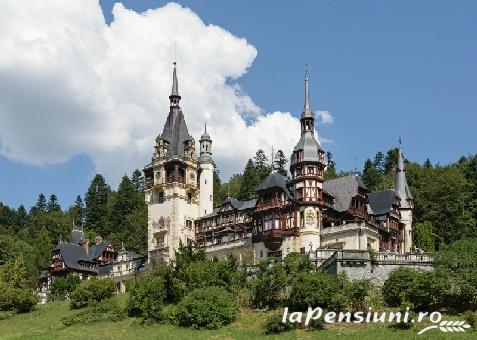 Vila Pimen - cazare Valea Prahovei (Activitati si imprejurimi) Vila Pimen - cazare Valea Prahovei (Activitati si imprejurimi)