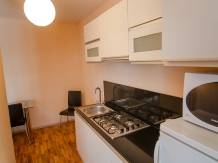 Vila Twins Apartments - alloggio in  Vallata di Brasov (07)
