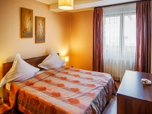 Vila Twins Apartments - accommodation in  Brasov Depression (08)