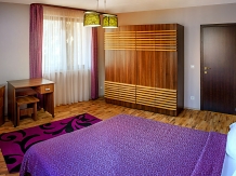 Vila Twins Apartments - accommodation in  Brasov Depression (13)