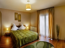 Vila Twins Apartments - alloggio in  Vallata di Brasov (21)
