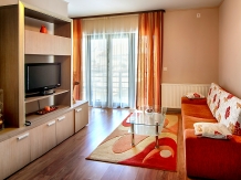 Vila Twins Apartments - alloggio in  Vallata di Brasov (22)