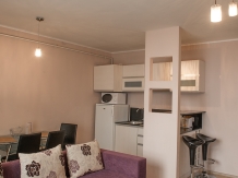Vila Twins Apartments - accommodation in  Brasov Depression (27)