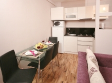 Vila Twins Apartments - alloggio in  Vallata di Brasov (33)