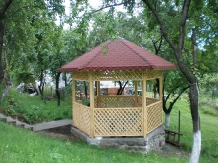 Casa Anca - alloggio in  Nord Oltenia (03)