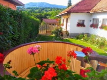 Casa Rustik - accommodation in  North Oltenia (01)