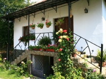Casa Rustik - accommodation in  North Oltenia (07)