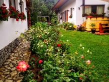 Casa Rustik - accommodation in  North Oltenia (09)