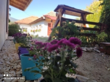 Casa Rustik - accommodation in  North Oltenia (15)